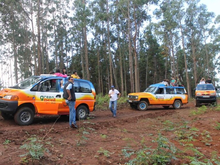 Porto Moniz 4×4 West tour - Starting with pickup from your hotel or accommodation, climb aboard for a ride to Serra d'Água...