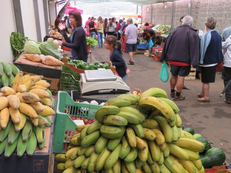 Local Farmers Market: Immerse yourself in the vibrant local culture and explore the hidden gems of Madeira Island with our Local Farmers Market and 4WD Experience from Funchal. Join us on Sundays for a half-day tour that will take you to the bustling farmers market in Santo da Serra, where you can witness the authentic local life and indulge in fresh produce, homemade liquors, and delightful infusions. Get ready to discover other remarkable areas, including the Christ the King viewpoint, Santa Cruz, and Morena, where you'll encounter breathtaking landscapes and charming hidden villages.