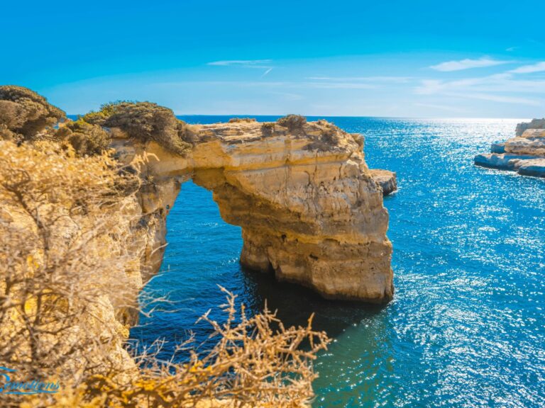Dolphins And Caves - This trip of about two hours and thirty minutes, departing from Portimão Marina, offers two magnificent experiences: the observation of cetaceans (dolphins and whales) and the observation of our Algarve coast.