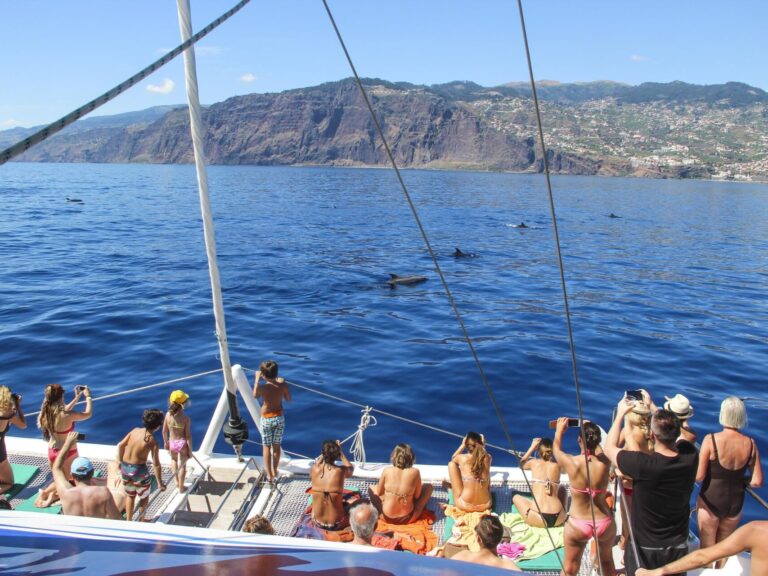 Cetaceans Watching In Madeira Island: Experience the thrill of encountering magnificent dolphins, majestic whales, and more during our Cetaceans Watching Tour in the breathtaking waters of Madeira Island. Join us for a memorable journey filled with natural wonders and the guarantee of an extraordinary adventure.