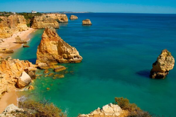 Safari with Boat Tour from Albufeira