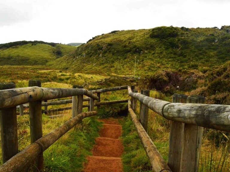 Terceira Island Caving Adventure