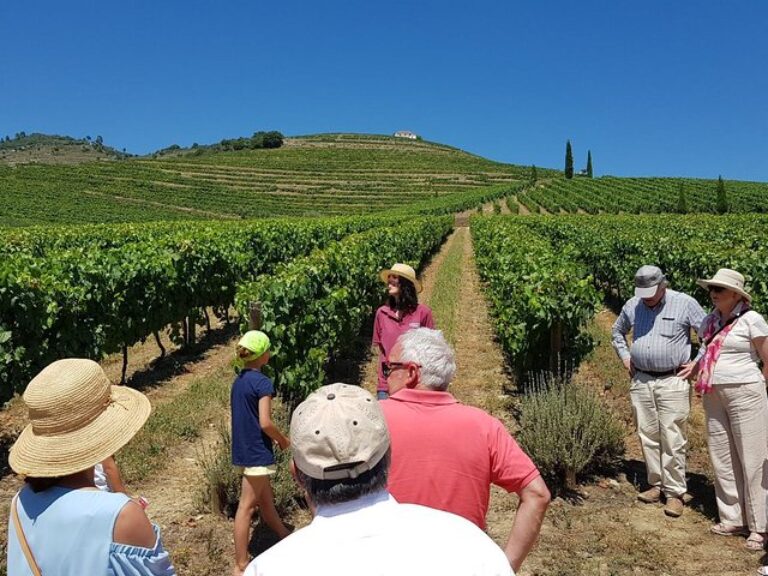 Douro Valley Historical Tour With Lunch, Winery Visit With Tastings And Panoramic Cruise - Enjoy an all-inclusive tour...