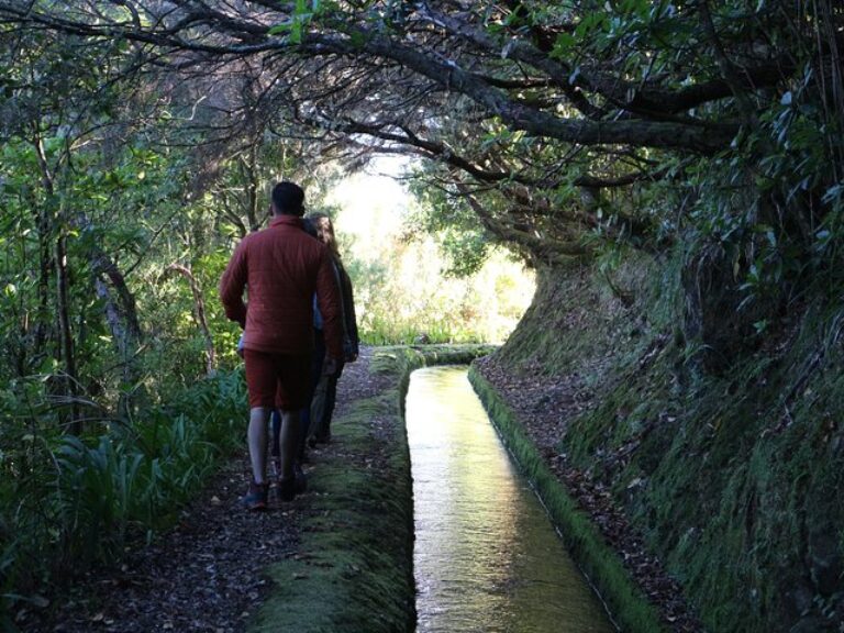 West volcanic pools & Unesco 4×4 Tour