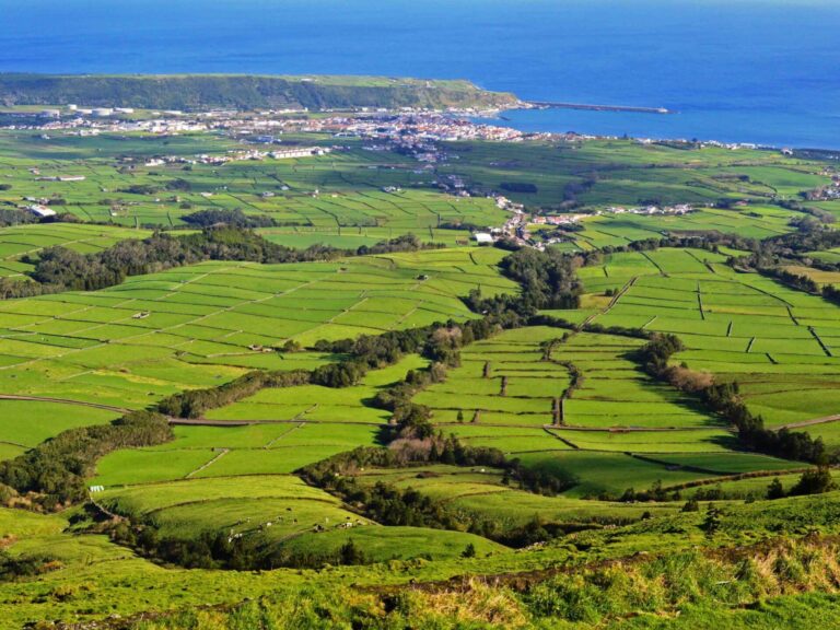 Terceira Island Caving Adventure