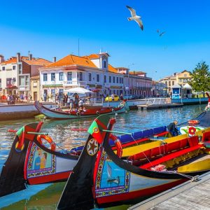 Aveiro Half-Day Tour from Porto Including Moliceiro River Cruise - This tour takes you to Aveiro considered by many as the...