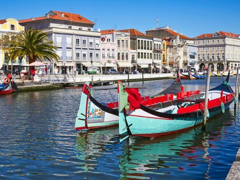 Coimbra And Aveiro Full Day Private Tour From Porto - Embark on a memorable full-day private tour from Porto to Coimbra and...