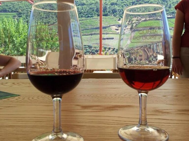 Douro Valley Historical Tour With Lunch, Winery Visit With Tastings And Panoramic Cruise - Enjoy an all-inclusive tour...