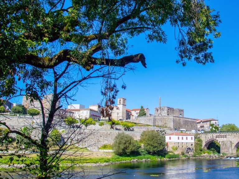 Barcelos: Half Day Private Tour From Porto - Embark on a captivating half-day private tour from Porto to the beautiful...