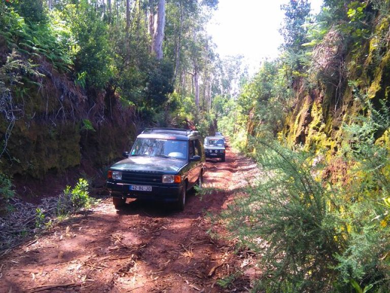 Madeira Safari - East Of The Island - All 4x4's have open roof, offering the opportunity to see the beauty of Madeira Island.