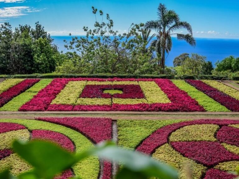 Mount And Botanical Garden - The Tour of Monte and Botanical Garden in Madeira takes you on a journey to the picturesque...
