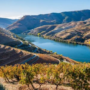 Douro Valley: Private Tour With Lunch And Wine Estate All Inclusive - This tour is mostly dedicated to Wine and Culture, in ...