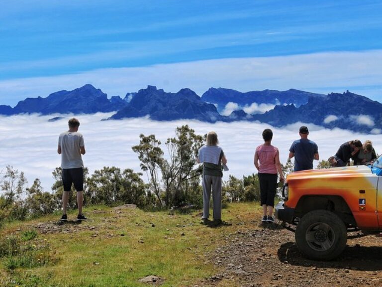Private Small Group Full Day 4×4 Tour in Northwest Madeira - Starting with pickup from your hotel or accommodation, climb...