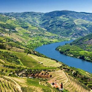 Douro Valley Wine Tour With Lunch, Tastings And River Cruise - Explore the wine culture, through the Douro Valley during a...