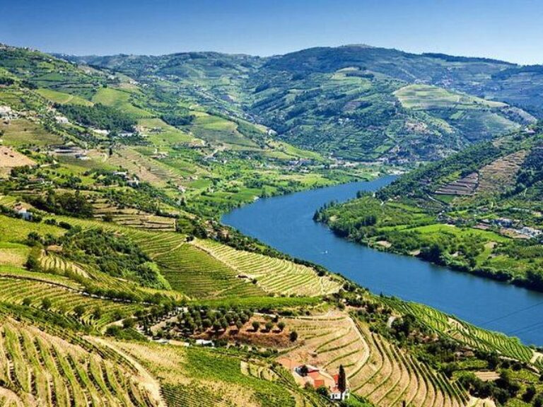 Douro Valley Wine Tour With Lunch, Tastings And River Cruise - Explore the wine culture, through the Douro Valley during a...