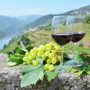 Douro Valley Wine Private Tour: Full Day with 2 Wine Estates, Lunch and River Cruise - Enter deep into the wine culture by...