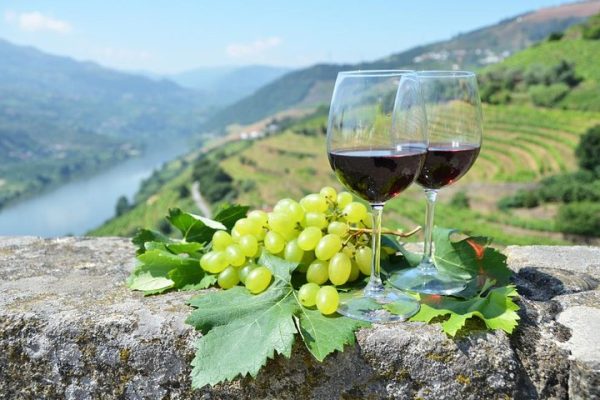 Douro Valley Wine  Private Tour
