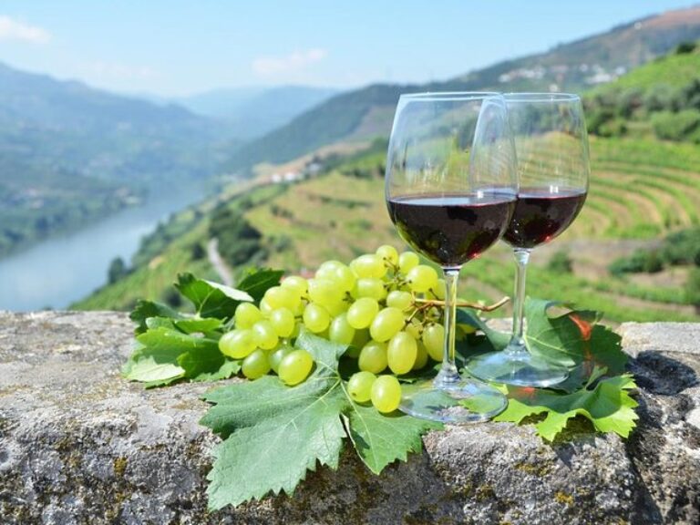 Douro Valley Wine Private Tour: Full Day with 2 Wine Estates, Lunch and River Cruise - Enter deep into the wine culture by...