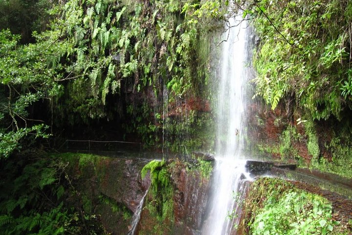 King's Levada / Ribeiro Bonito - This is undoubtedly one of the must do not miss, a magnificent route through the Laurissilva of Madeira, where it is possible to appreciate the unique vegetation of this natural heritage.