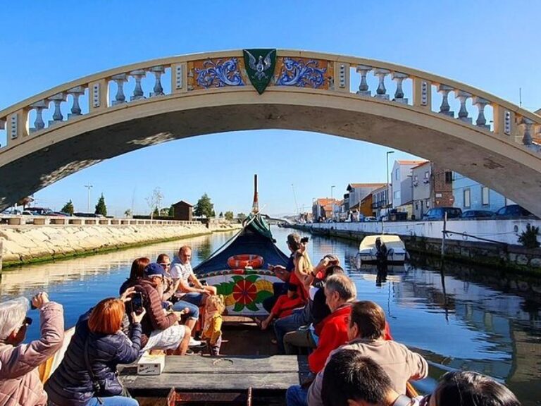 Aveiro Half-Day Tour from Porto Including Moliceiro River Cruise - This tour takes you to Aveiro considered by many as the...