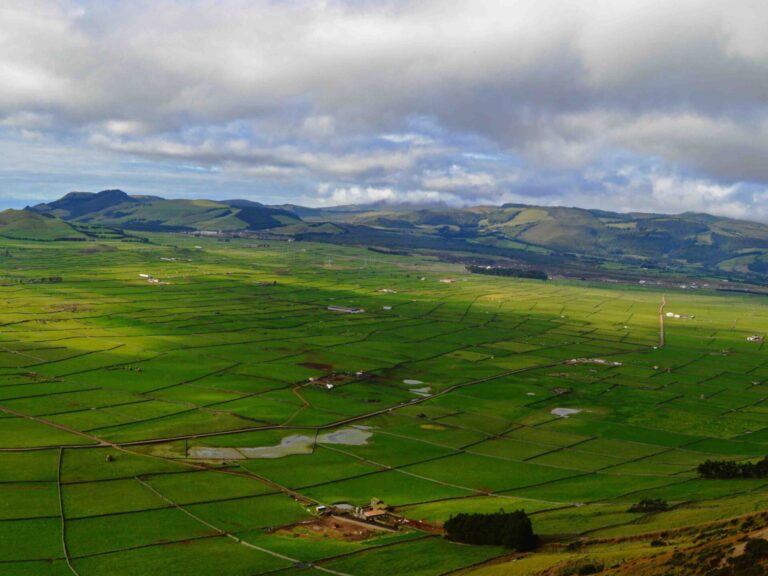 Terceira Island Caving Adventure