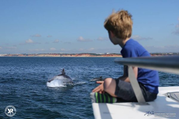 Dolphin Observation From Vilamoura