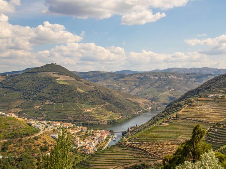 Douro Valley: Private Tour With Lunch And Wine Estate All Inclusive - This tour is mostly dedicated to Wine and Culture, in ...