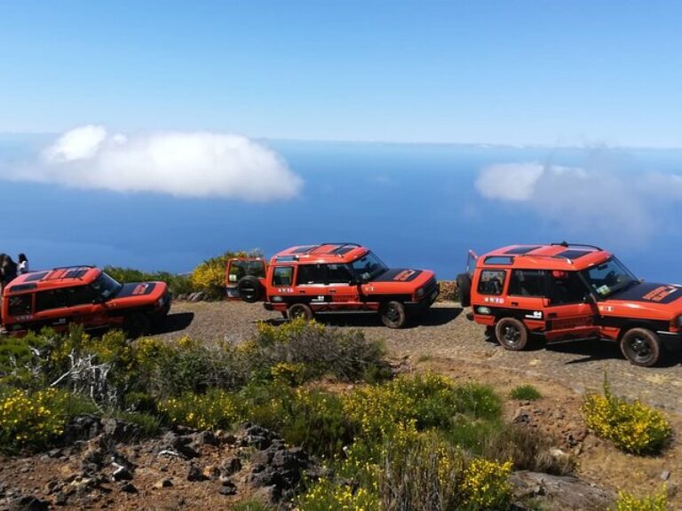 Madeira Safari - West Of The Island - Experience the exhilarating Madeira Safari - West of the Island tour and uncover the...