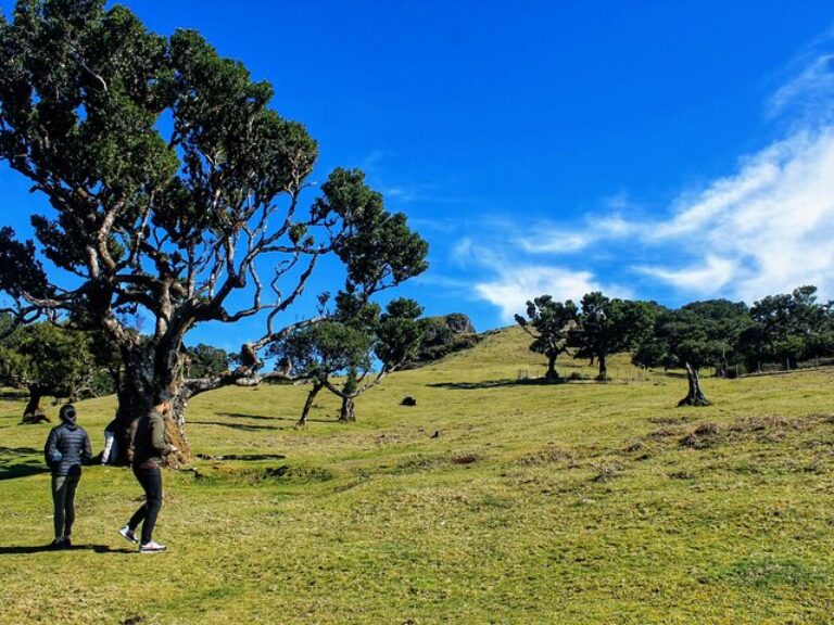 West volcanic pools & Unesco 4×4 Tour