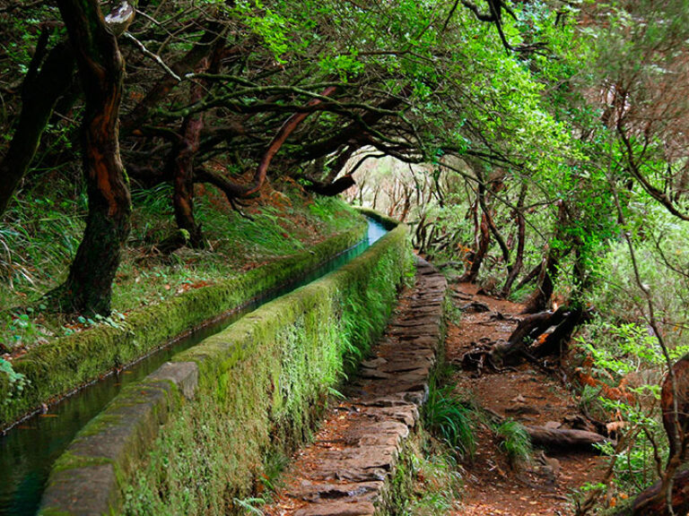 Levada Do Norte - A walk with a magnificent panoramic view over Câmara de Lobos and Campanário. You will see green fields...