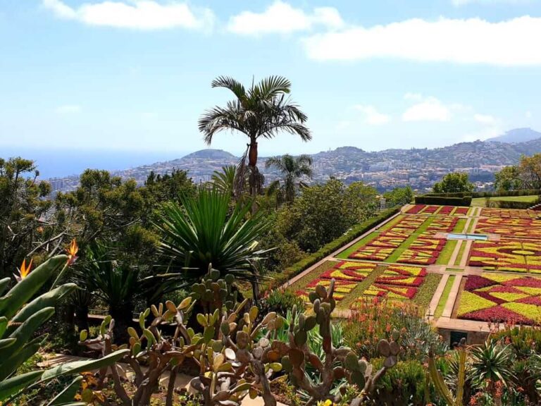 Mount And Botanical Garden - The Tour of Monte and Botanical Garden in Madeira takes you on a journey to the picturesque...