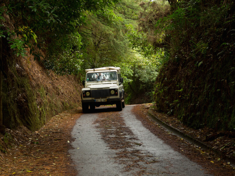 Embark on an extraordinary adventure to the captivating Southwest side of Madeira Island with our Best of South 4x4 Tour. This excursion promises total diversity, showcasing the stunning landscapes, charming villages, and breathtaking seashores that define this remarkable region.