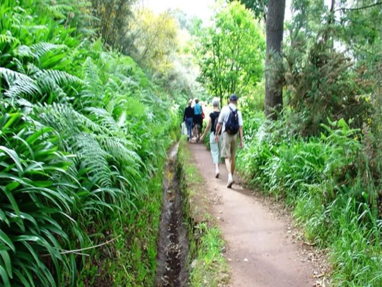 Vale Paraíso / Rochão - This walk starts at the Paraiso Valley and ends at Rochão and gives you the opportunity to get to...