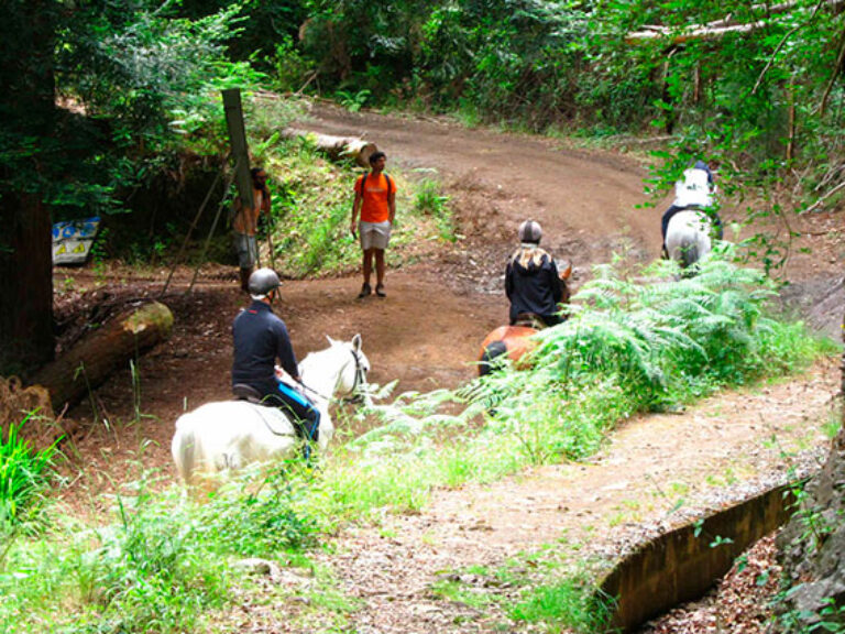 Vale Paraíso / Rochão - This walk starts at the Paraiso Valley and ends at Rochão and gives you the opportunity to get to...