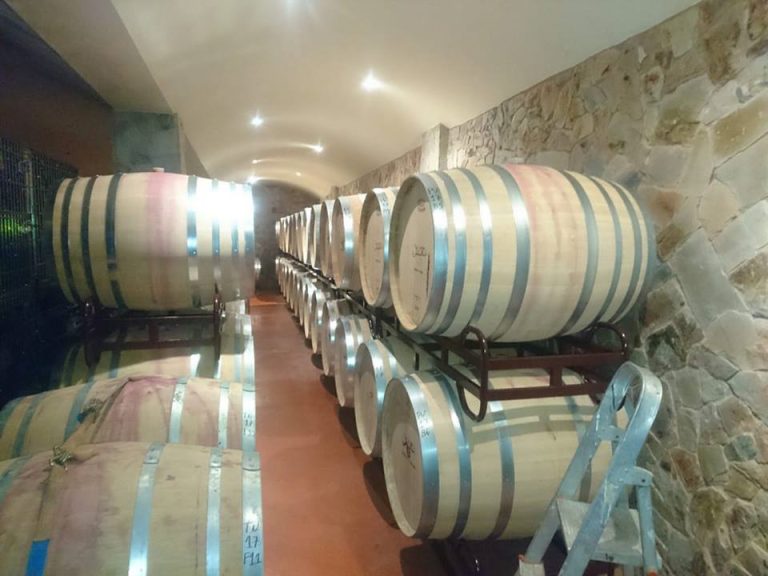 Experience in the Wine World: Visit to an award-winning Algarve producer, including a guided tour of the vineyards, winery and facilities.