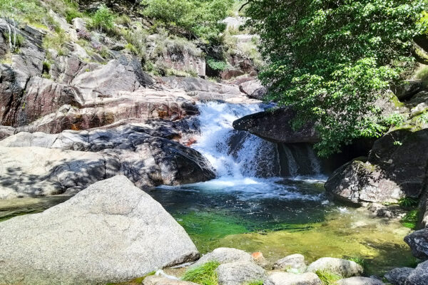 Private Peneda-Gerês National park Tour – Its Waterfalls with Typical Lunch