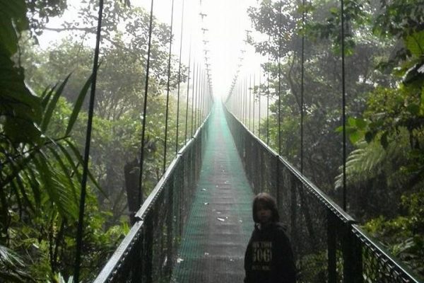 Treetop Hanging Bridges Tour Through The Cloud Forest
