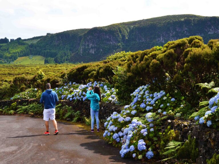 Terceira Island Caving Adventure