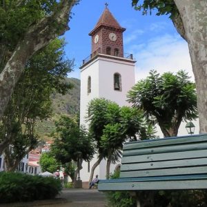 Traditional Farmers Market Open 4X4 Half Day Tour