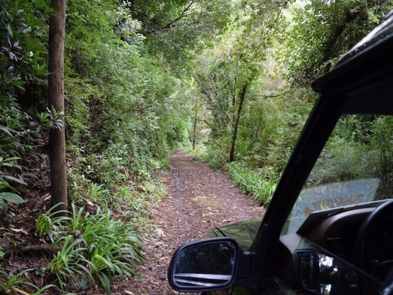 Madeira Safari - East Of The Island - All 4x4's have open roof, offering the opportunity to see the beauty of Madeira Island.