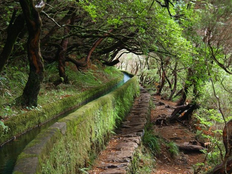 Rabaçal / 25 Fonts - It is one of the most emblematic and most visited pedestrian walks on the island of Madeira. An authentic gift for our senses.