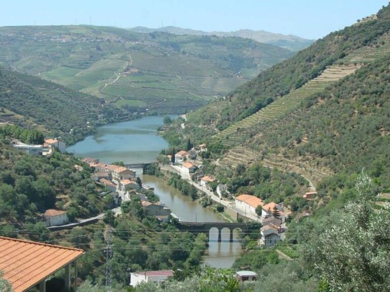 Douro Valley Wine Tour With Lunch, Tastings And River Cruise - Explore the wine culture, through the Douro Valley during a...
