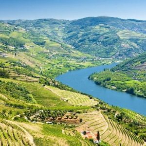 Douro Valley Historical Tour With Lunch, Winery Visit With Tastings And Panoramic Cruise - Enjoy an all-inclusive tour...