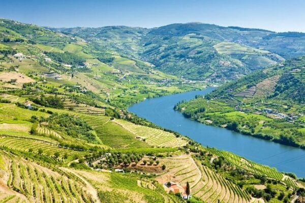 Douro Valley Historical Tour
