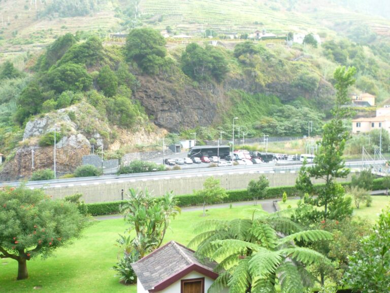 Around The Island Tour - Two Days Tour - Discovering the West Coast of Madeira, we start with a visit to Câmara de Lobos...