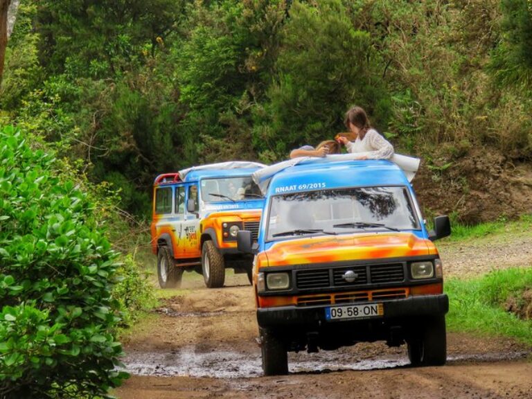 Private Small Group Full Day 4×4 Tour in Northwest Madeira - Starting with pickup from your hotel or accommodation, climb...