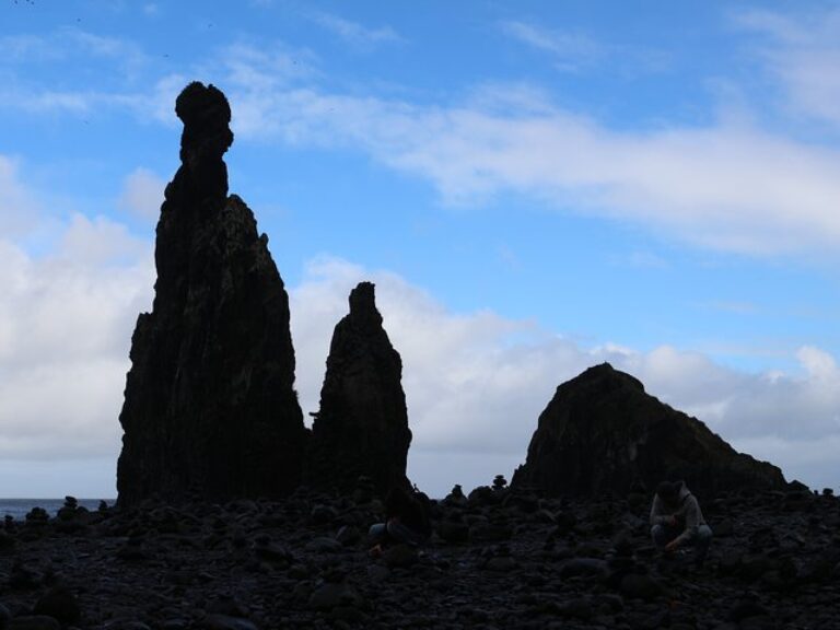 Private Small Group Full Day 4×4 Tour in Northwest Madeira - Starting with pickup from your hotel or accommodation, climb...