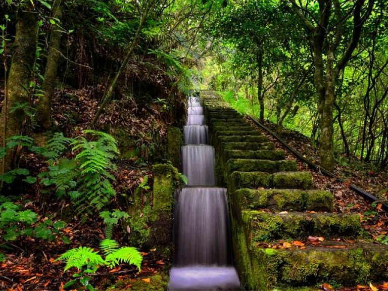 Madeira Safari - East Of The Island - All 4x4's have open roof, offering the opportunity to see the beauty of Madeira Island.