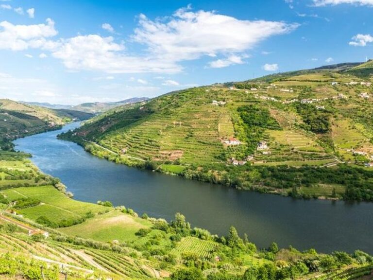 Day Cruise From Porto To Pinhão With Breakfast And Lunch - The "heart" of the Douro valley is in a small village of the...