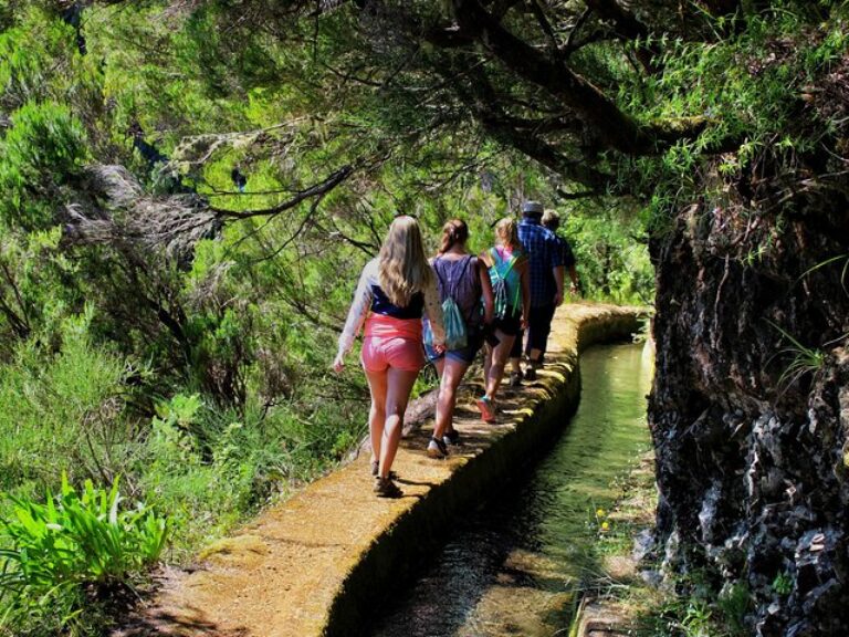 Private Small Group Full Day 4×4 Tour in Northwest Madeira - Starting with pickup from your hotel or accommodation, climb...